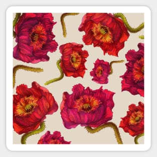 Scarlet Red Poppy Flower vintage illustration pattern Sticker